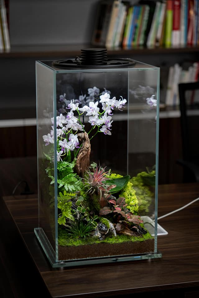 Mini Natural Retangle Prism with LED Light (FD200,FD250)