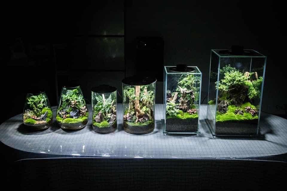 Mini Natural Retangle Prism with LED Light (FD200,FD250)