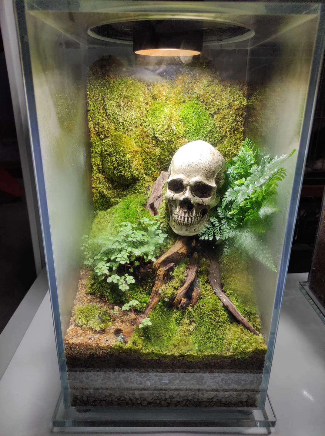 Mini Natural Retangle Prism with LED Light (FD200,FD250)