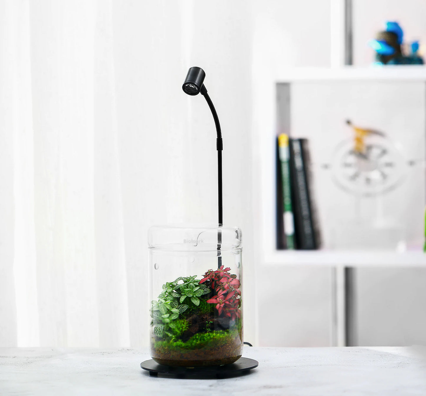 Bio Bottles Emerald Garden Mini Desktop Terrarium (Dew Cup)