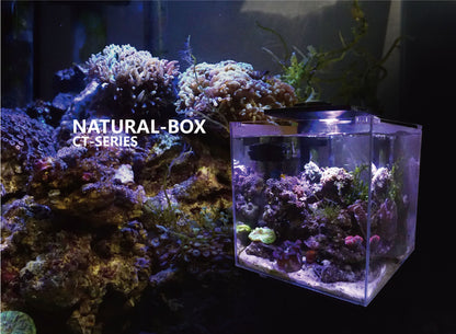 Mini All-in-one Natural-Box