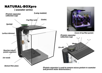 Mini All-in-one Natural-Box