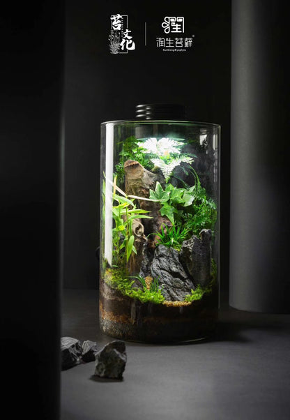 Mini Natural Bio Cylinder with LED Light (ZD150 ZD200)