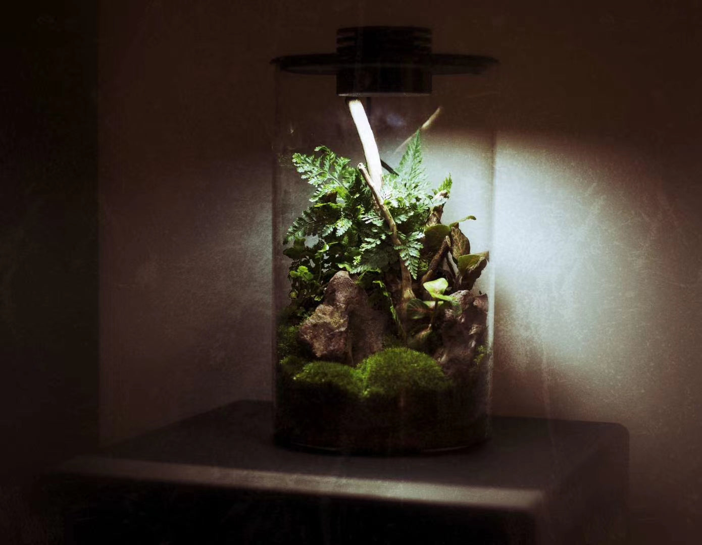 Mini Natural Bio Cylinder with LED Light (ZD150 ZD200)