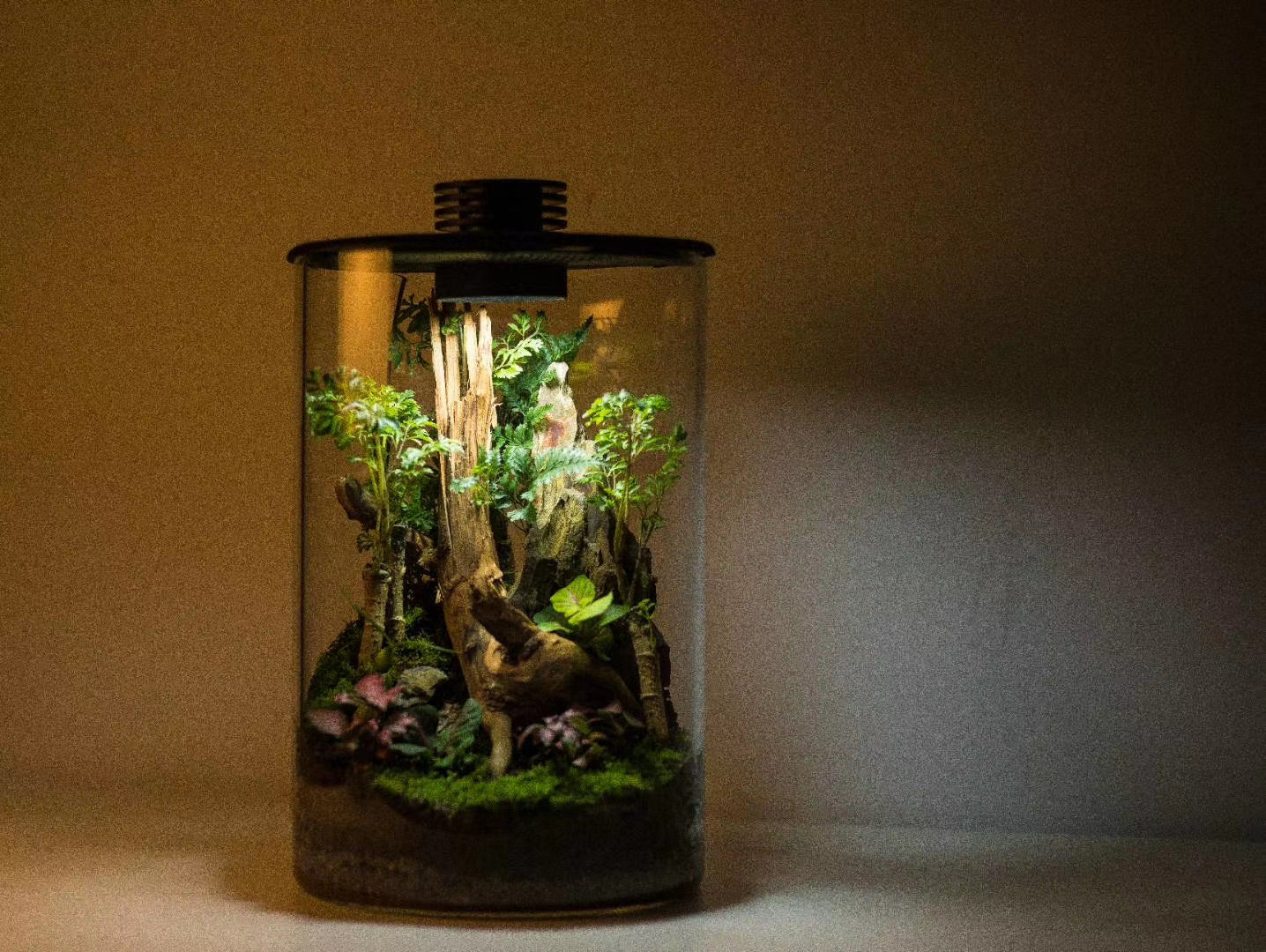 Mini Natural Bio Cylinder with LED Light (ZD150 ZD200)